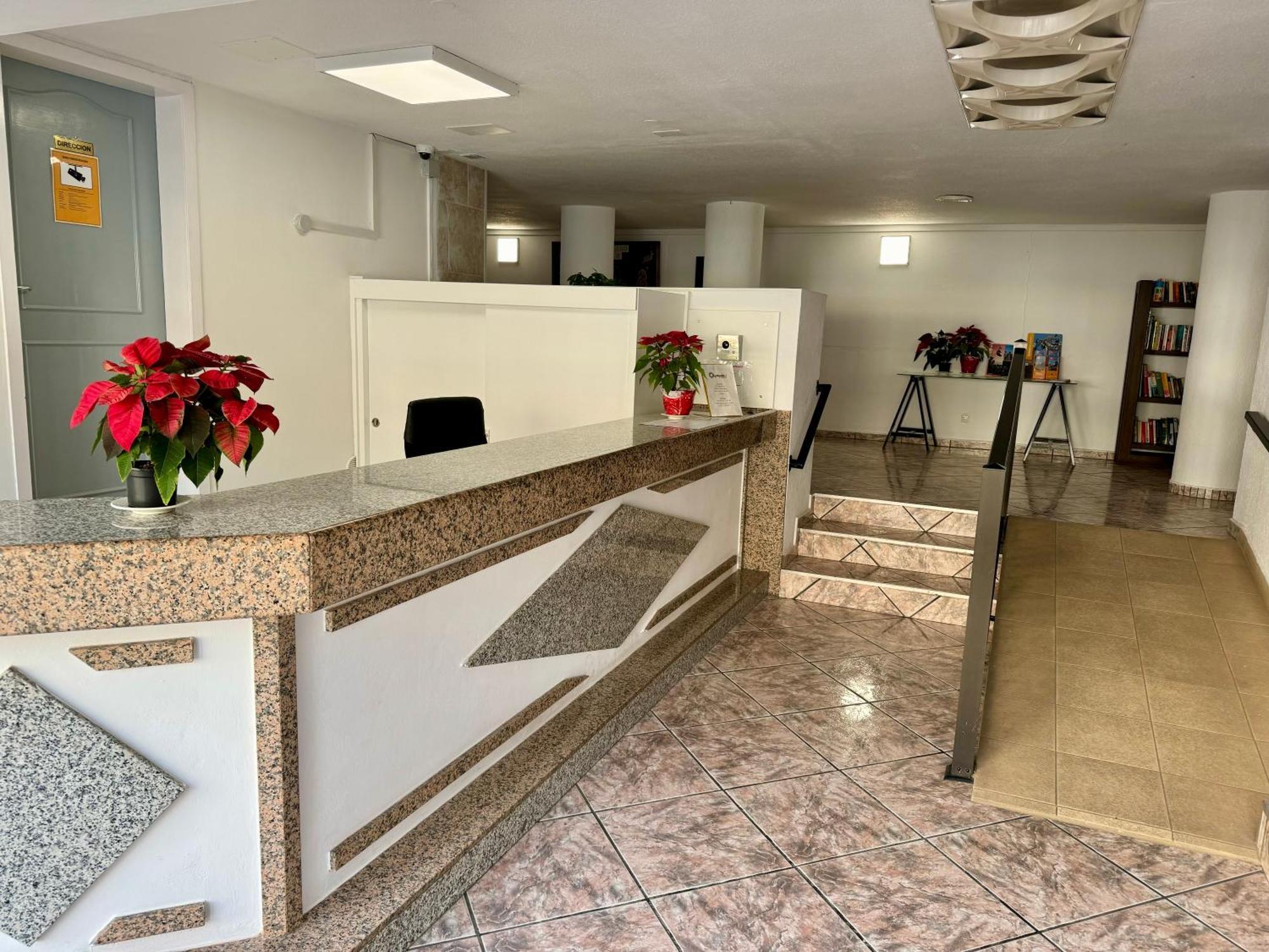 Olympia Palmalicious Apartment Playa de las Americas  Luaran gambar