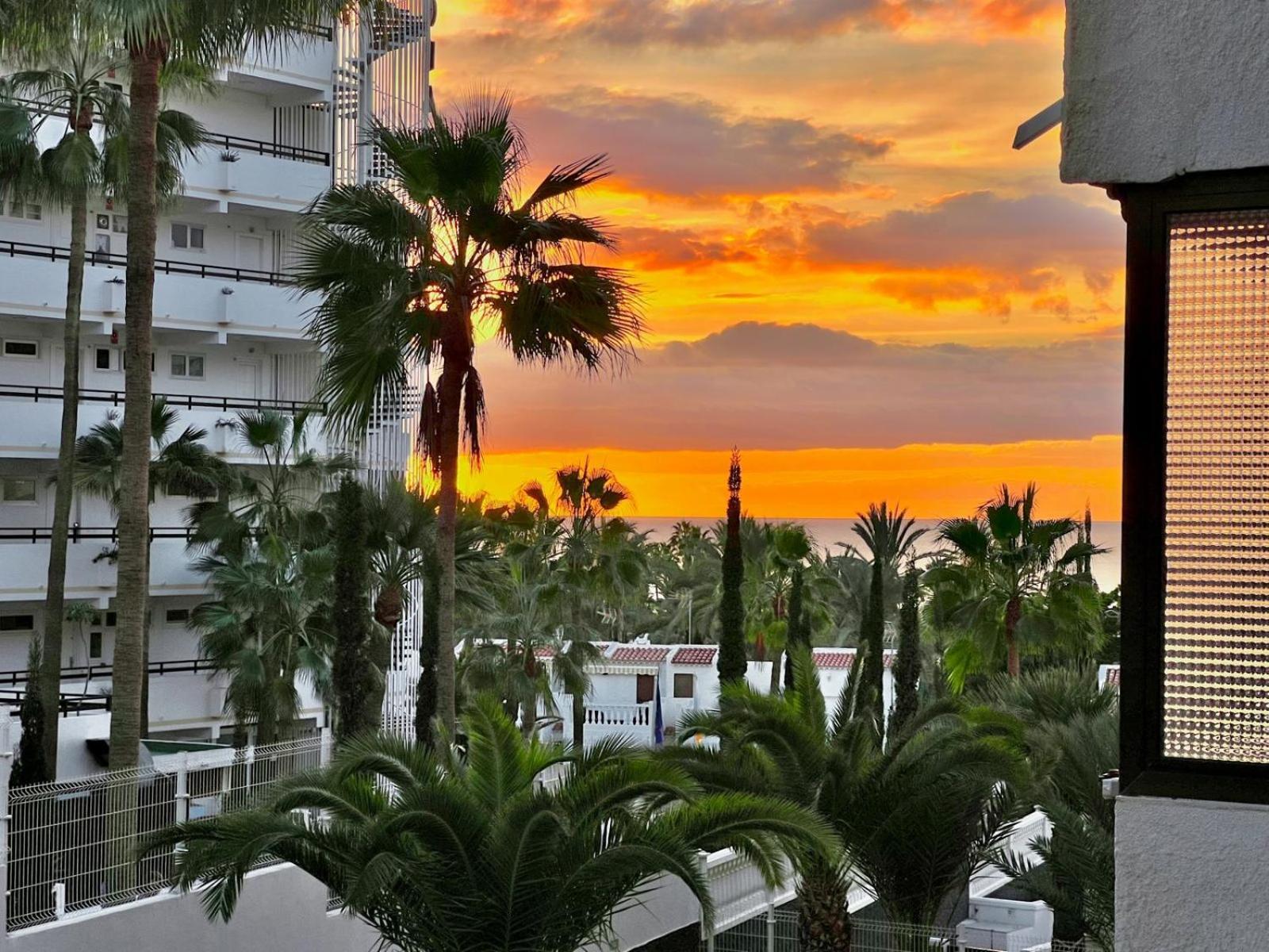 Olympia Palmalicious Apartment Playa de las Americas  Luaran gambar
