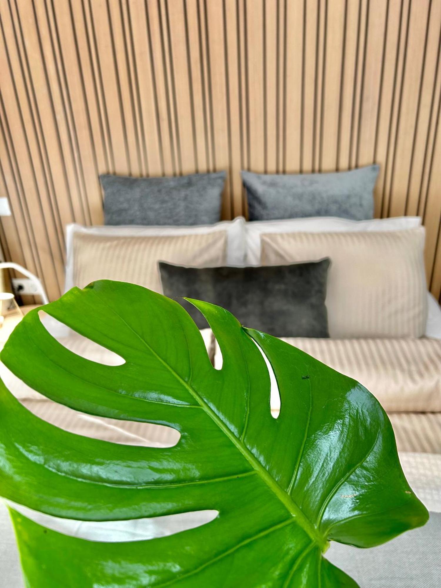 Olympia Palmalicious Apartment Playa de las Americas  Luaran gambar